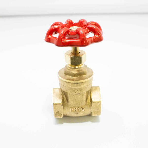 Brass Gate Valve - FxF, 200 PSI (WOG) 
