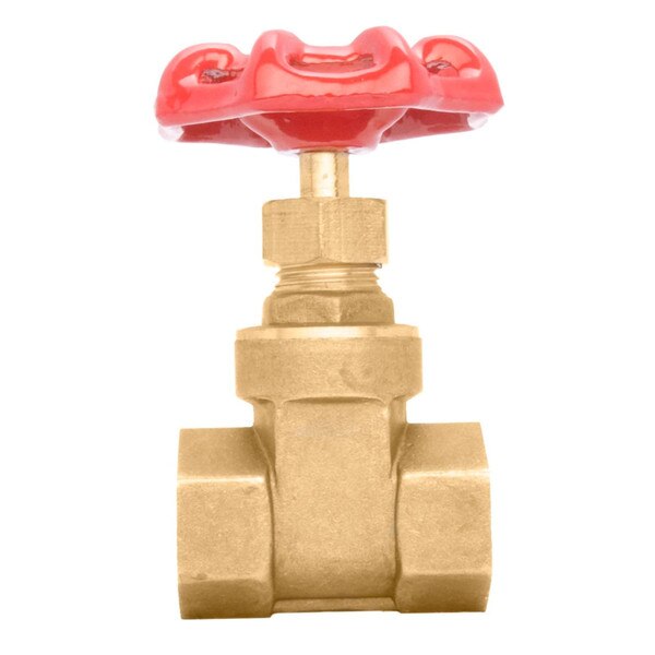 Brass Gate Valve - FxF, 200 PSI (WOG) 