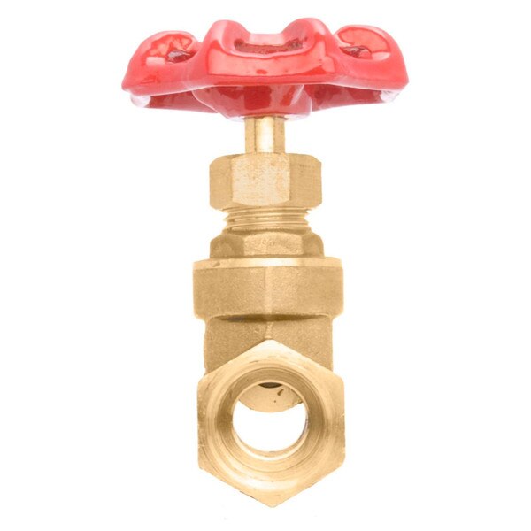 Brass Gate Valve - FxF, 200 PSI (WOG) 