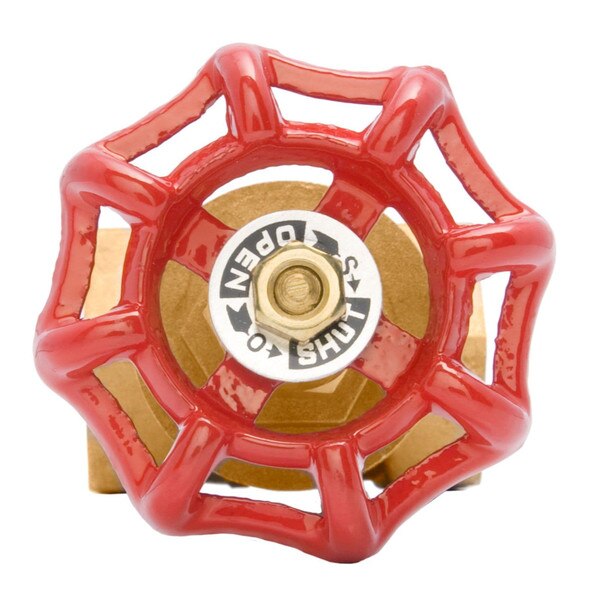 Brass Gate Valve - FxF, 200 PSI (WOG) 