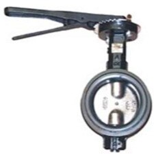Butterfly Valve Truewafer