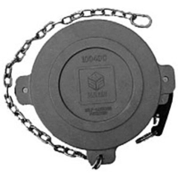 Dust Cap - A.P.I.