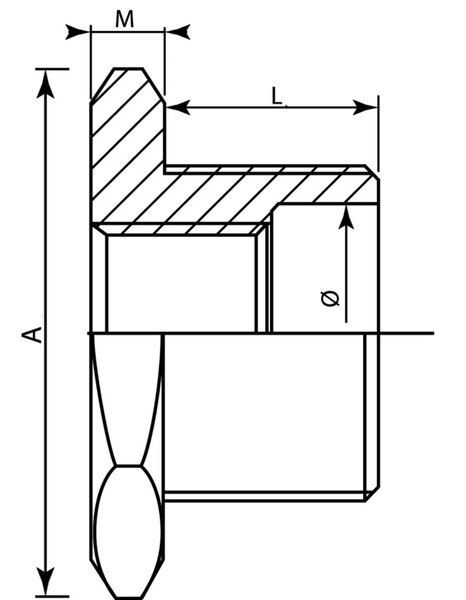 Stainless Steel Hex Bushing, MxF. Available in SS 304 and SS 316.