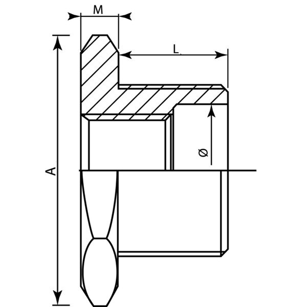 Hex Bushing Stainless Steel (316)