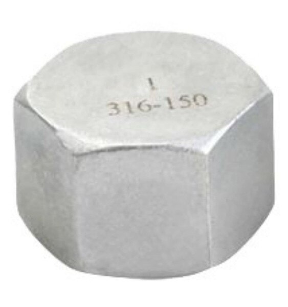 NPT threaded hex cap fitting available in SS316 and SS304.