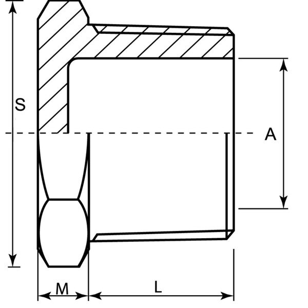 Stainless Steel (304) Hex Plug