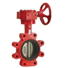 Lug Style Butterfly Valve - Stainless Steel Disc / Gear Handle / Buna-N Seat / Red Body
