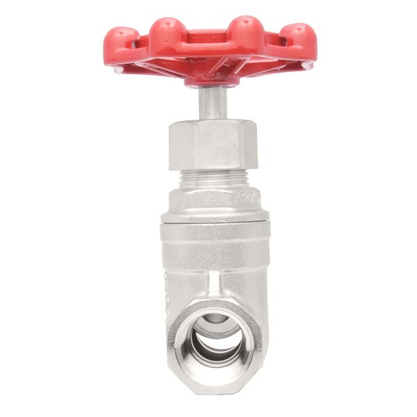 Stainless Steel 316 Gate Valve - 200 PSI (WOG)