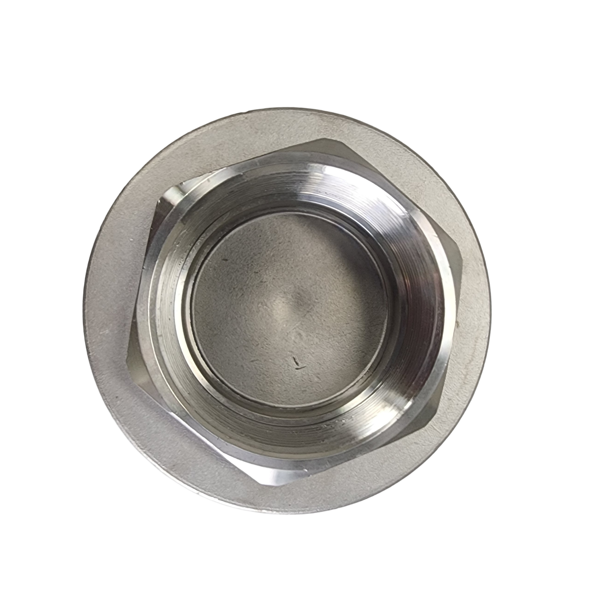 1-1/4 Inch Stainless Steel Vertical Check Valve - NPT Threaded, 1000 PSI, For Water, Air, Fuel
