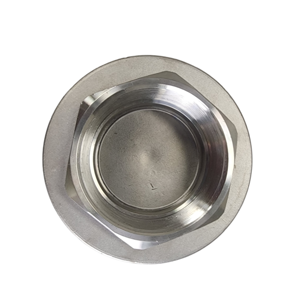 Stainless Steel 316 In-Line Spring Check Valve - 1,000 WOG