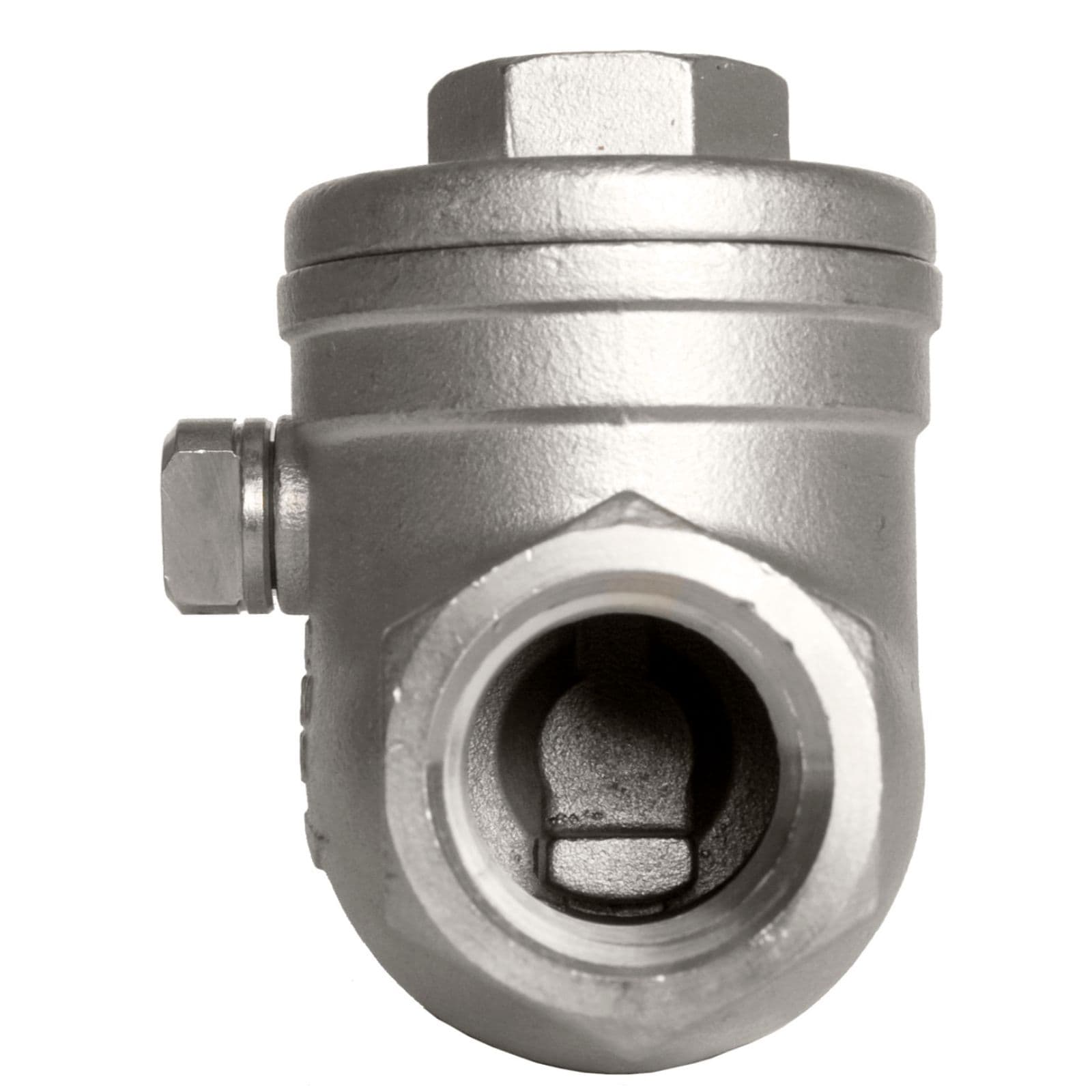 1" 1 inch Female Swing Check Valve WOG 200 PSI PN16 Stainless Steel 316 CF8M 